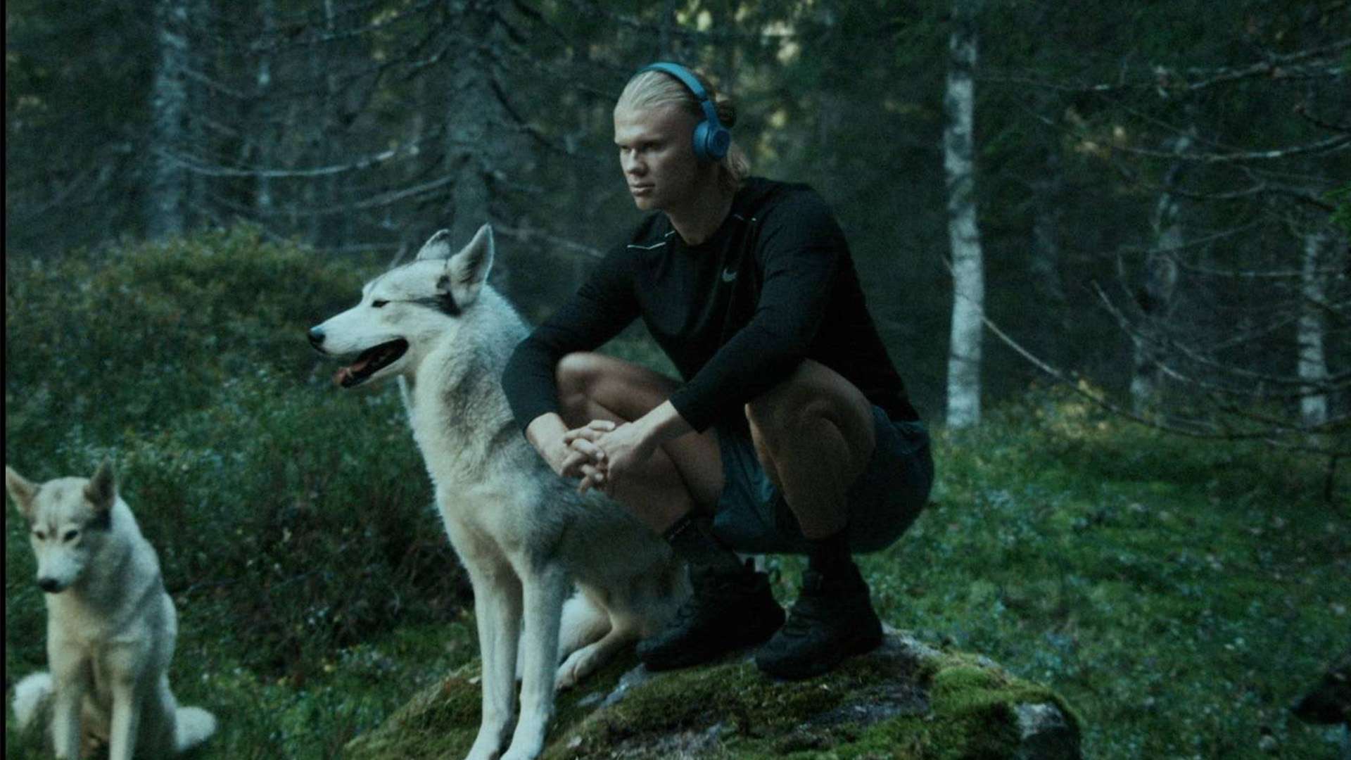 的努力与付 的努力与付