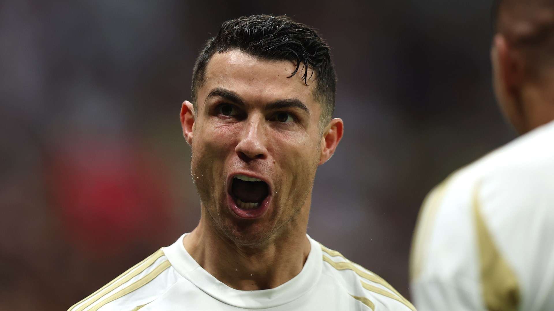 球迷的热情 球迷的热情